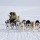 Las comunidades indígenas que habitan el ártico